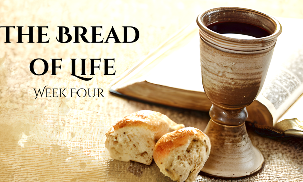 The Bread of Life (Week Four) -Fr. Scott Looker