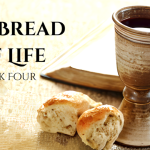 The Bread of Life (Week Four) -Fr. Scott Looker