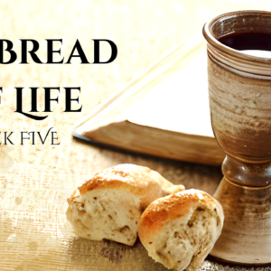 The Bread of Life (Week Five) – Fr. Scott Looker