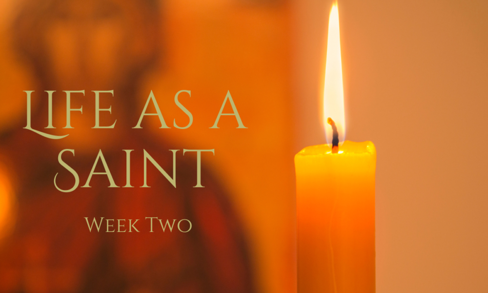 Life as a Saint (Week Two) – Fr. Scott Looker