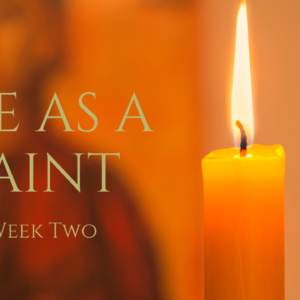 Life as a Saint (Week Two) – Fr. Scott Looker