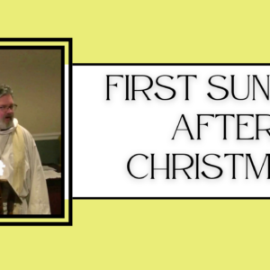 First Sunday after Christmas – Fr. Scott Looker