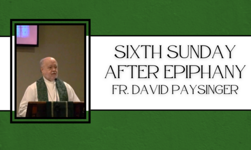 Sixth Sunday after Epiphany – Fr. David Paysinger