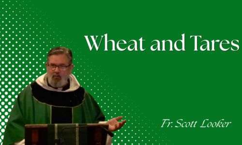 Wheat and Tares – Fr. Scott Looker