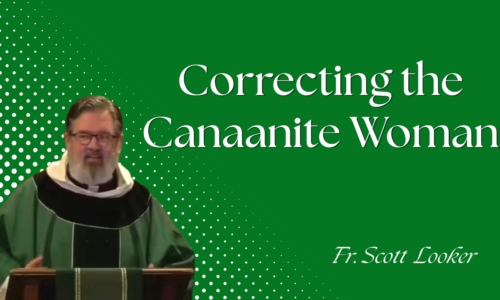 Correcting the Canaanite Woman – Fr. Scott Looker
