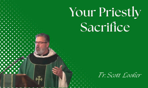 Your Priestly Sacrifice – Fr. Scott Looker